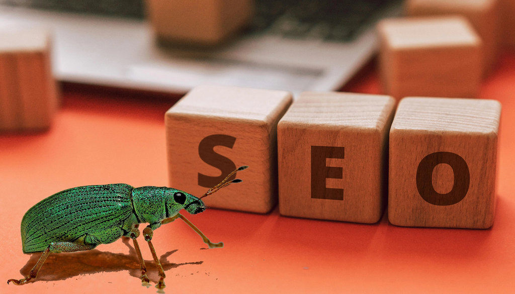 SEO update: New Google Spam Policy has rolled out